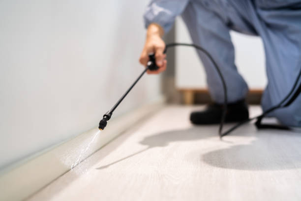 Licensed Fumigation Services service in Cheyenne County County, NE - Nex Pest Control